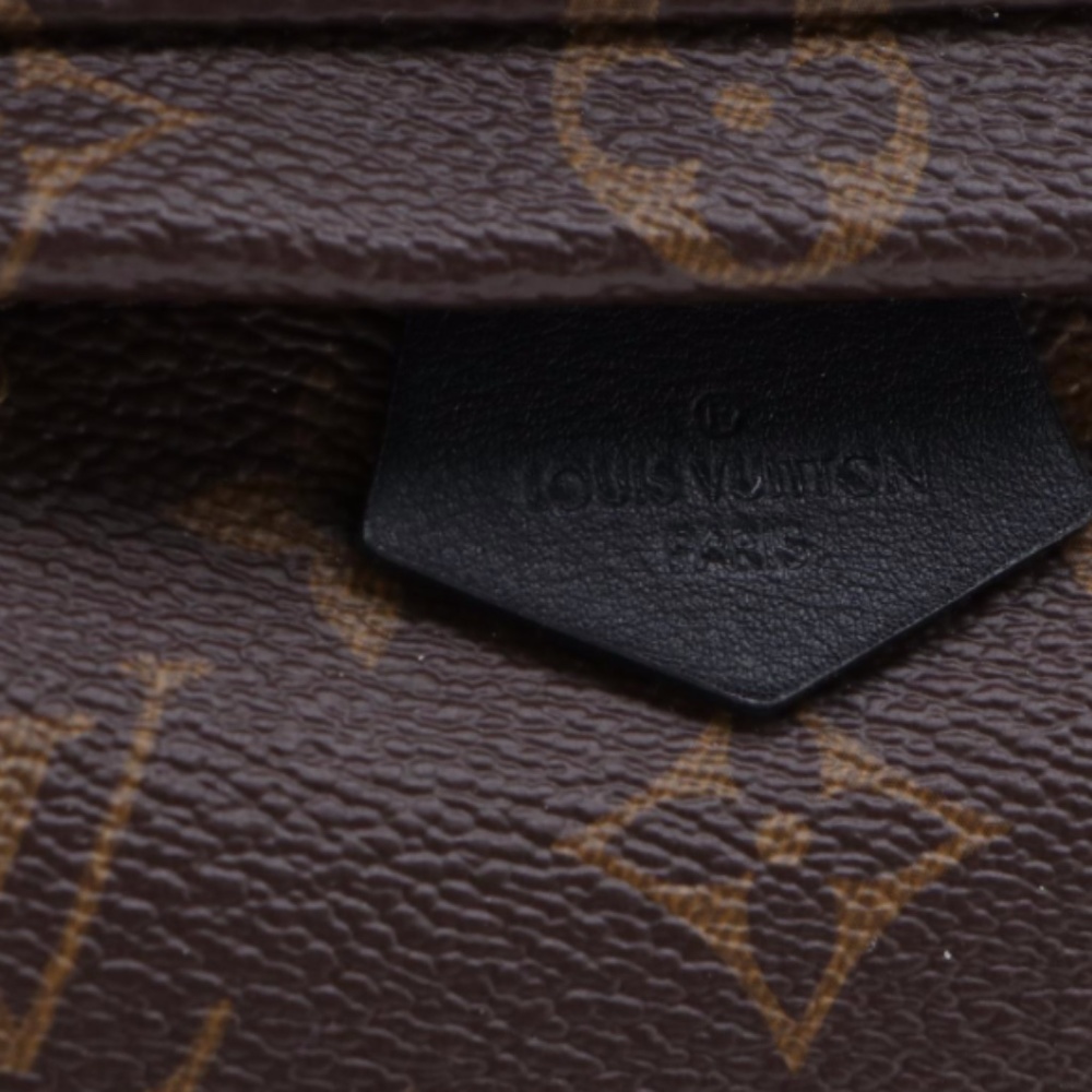 SOLD - Louis Vuitton Palm Springs Mini Backpack - Picture 8 of 11